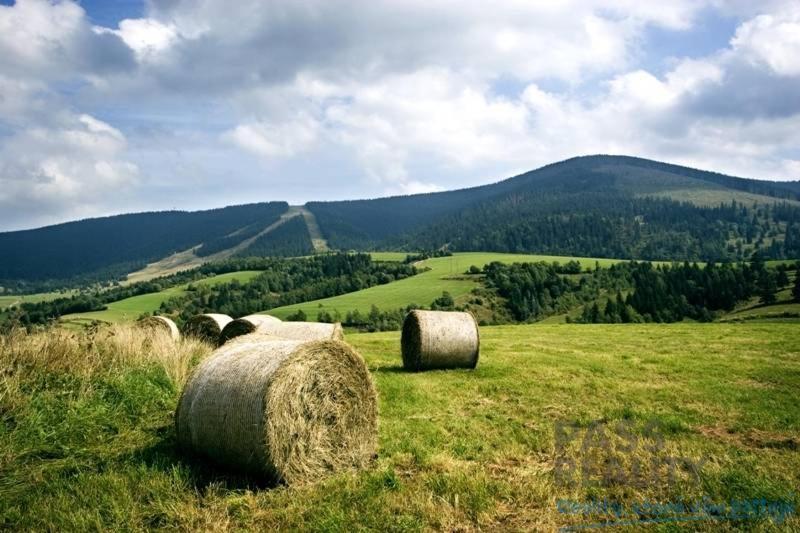 Chaty Ski Telgárt Zewnętrze zdjęcie